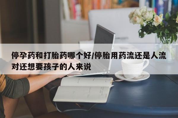 紫竹药业打胎药网购停孕药和打胎药哪个好/停胎用药流还是人流对还想要孩子的人来说